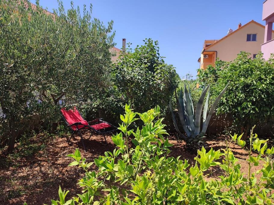 Apartment Nera Zadar Ngoại thất bức ảnh